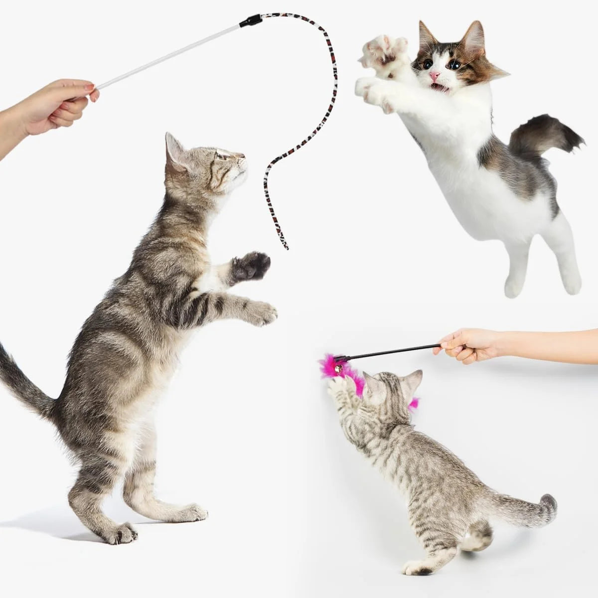 32 Pzas De Juguetes Para Gatos, Variedad Interactiva De Juguetes De Catnip Con Túnel Arcoíris Plegable, Juguete De Plumas Y Bolas Arrugadas Para Gatos, Gatitos, Cachorros